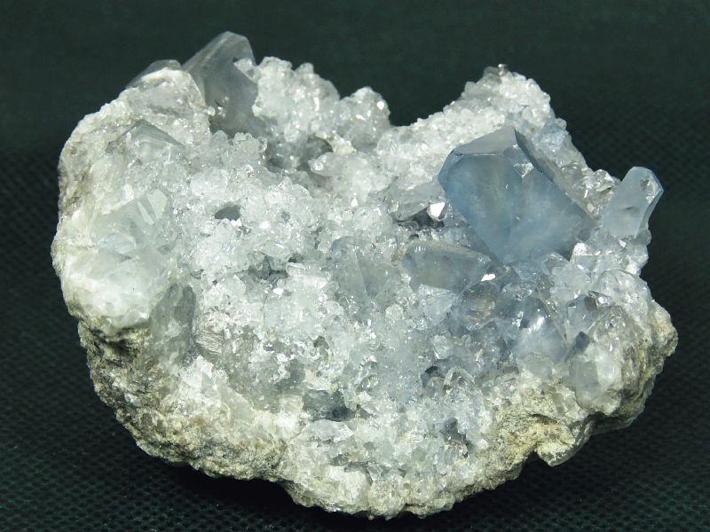 ZX^CgV 323g (28)