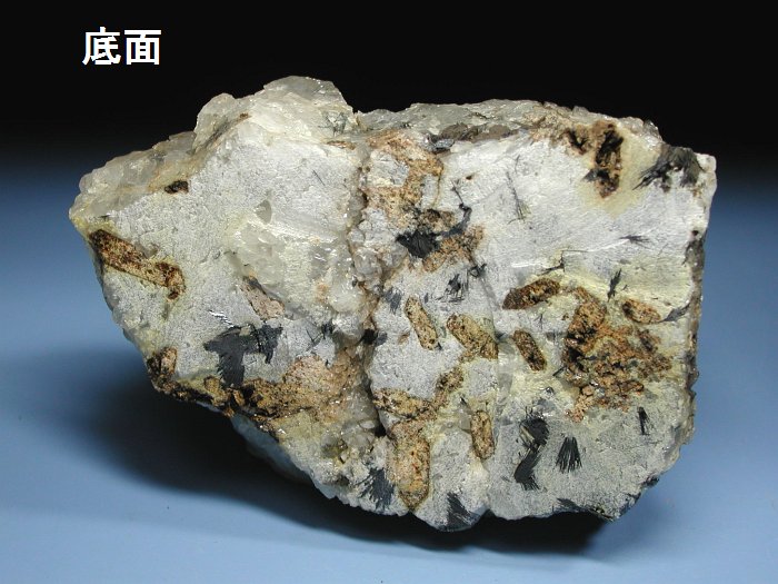 `R[gEBhENH[c L uY 1175g (45)