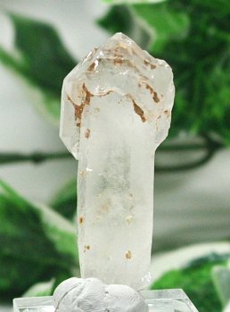 Zv^[GX` 34g (22)