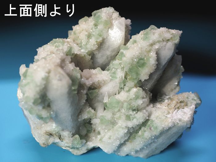ʑ̃O[t[CgonNH[cNX^[ ֌/ԕ/zRY 355g (61)
