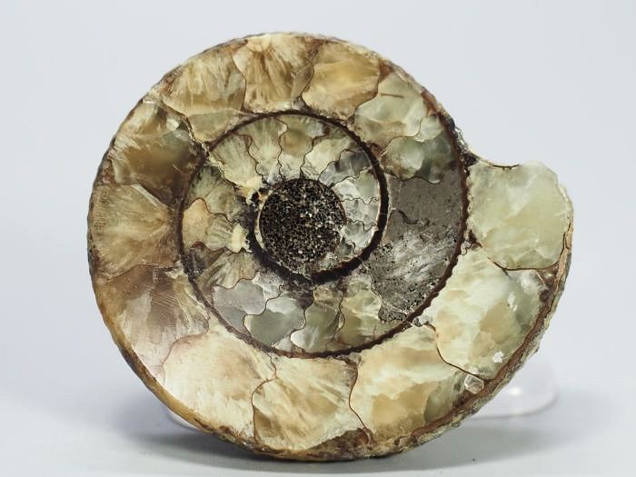 �N���X�y�f�B�e�X �A�����i�C�g����(696)