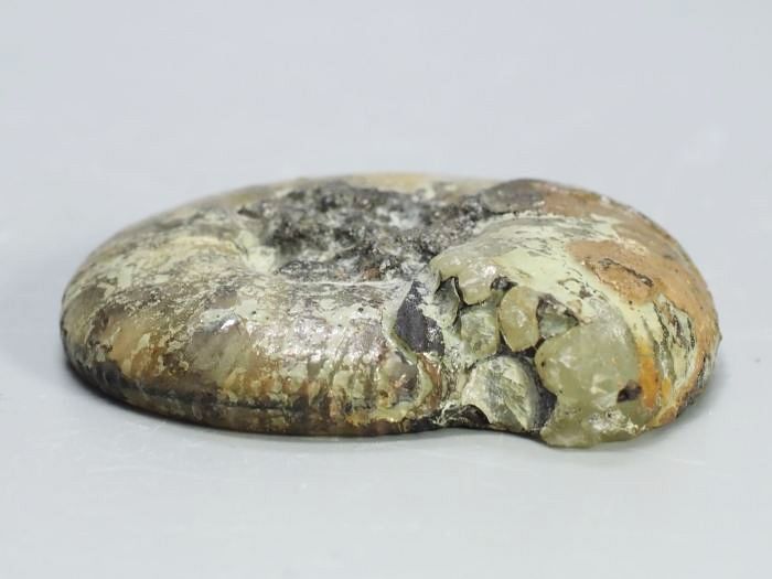 �N���X�y�f�B�e�X �A�����i�C�g����(696)