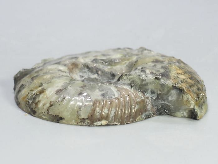 �N���X�y�f�B�e�X �A�����i�C�g����(697)