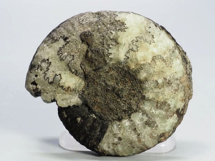 �N���X�y�f�B�e�X �A�����i�C�g����(698)