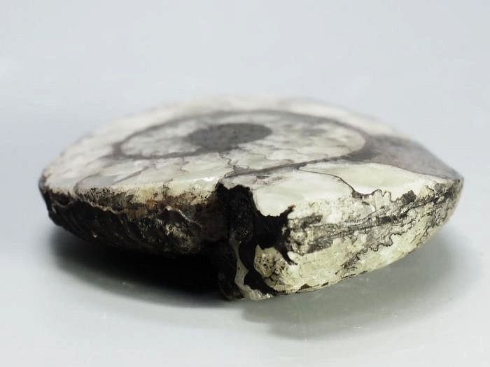 �N���X�y�f�B�e�X �A�����i�C�g����(698)