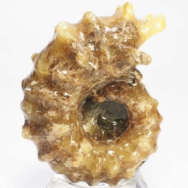 AiCg΃hErCZX 62mmd94.1g (42)