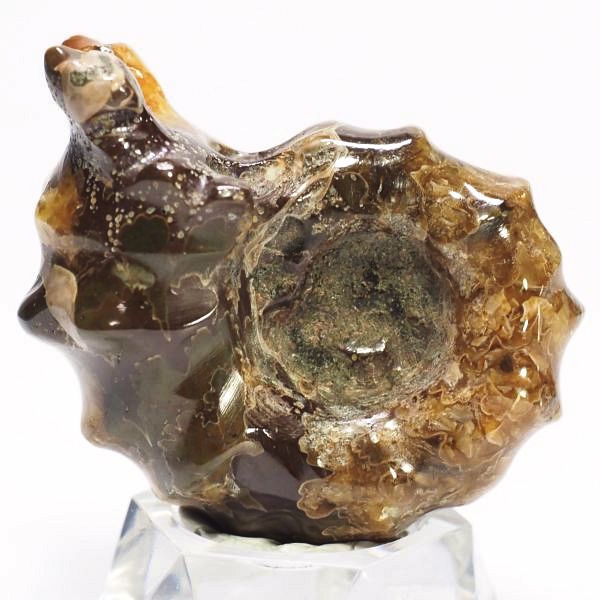 AiCg΃hErCZX 43mmd28.9g (208)
