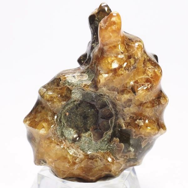 AiCg΃hErCZX 43mmd28.9g (208)