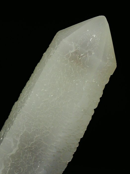 �w�f���o�[�K�C�g�C���N�H�[�c �ΐ����E�������S�� 13.8cm146g (2)