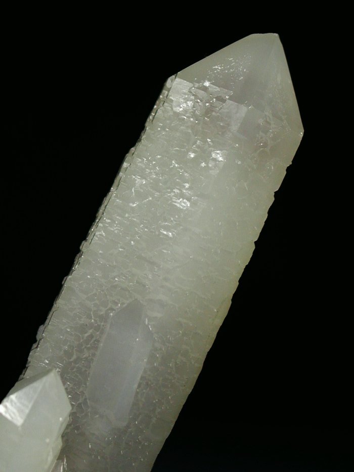 �w�f���o�[�K�C�g�C���N�H�[�c �ΐ����E�������S�� 13.8cm146g (2)