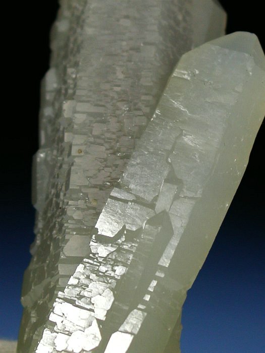 �w�f���o�[�K�C�g�C���N�H�[�c �ΐ����E�������S�� 13.8cm146g (2)