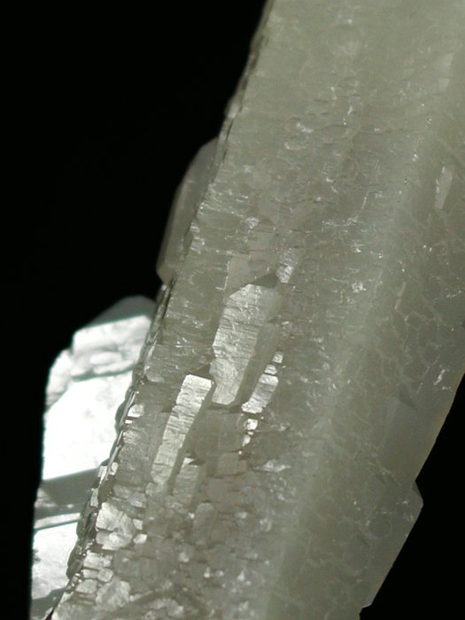 �w�f���o�[�K�C�g�C���N�H�[�c �ΐ����E�������S�� 13.8cm146g (2)