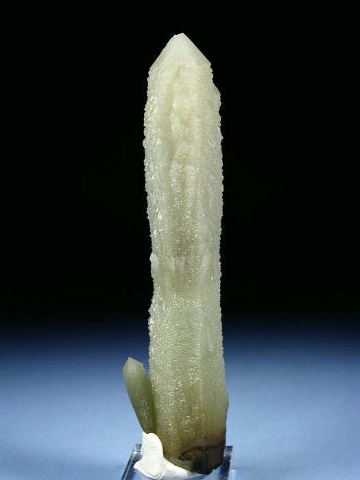 �w�f���o�[�K�C�g�C���N�H�[�c �ΐ����E�������S�� 16cm180g (8)