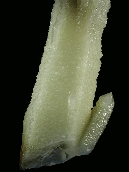 �w�f���o�[�K�C�g�C���N�H�[�c �ΐ����E�������S�� 16cm180g (8)