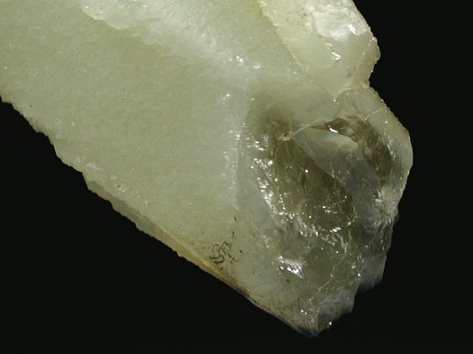 �w�f���o�[�K�C�g�C���N�H�[�c �ΐ����E�������S�� 16cm180g (8)