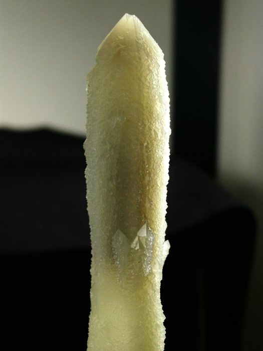 �w�f���o�[�K�C�g�C���N�H�[�c �ΐ����E�������S�� 16cm180g (8)