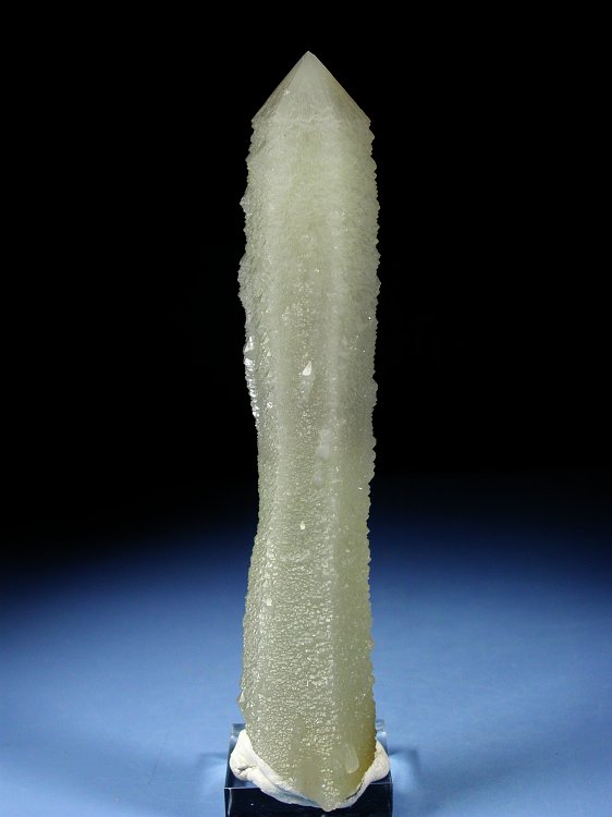 �w�f���o�[�K�C�g�C���N�H�[�c �ΐ����E�������S�� 17.3cm212g (17)