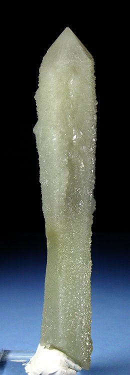 �w�f���o�[�K�C�g�C���N�H�[�c �ΐ����E�������S�� 17.3cm212g (17)