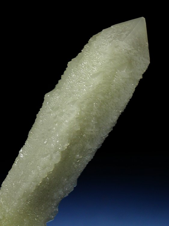 �w�f���o�[�K�C�g�C���N�H�[�c �ΐ����E�������S�� 17.3cm212g (17)