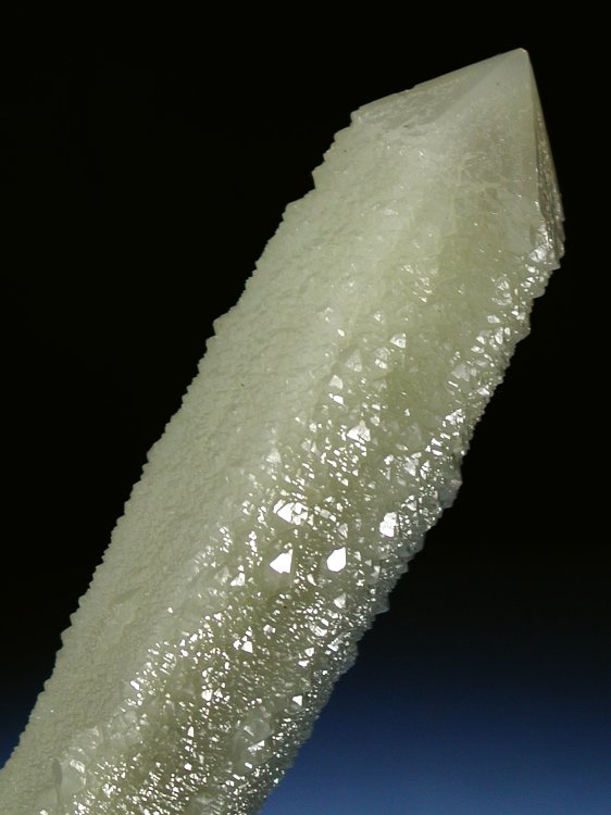 �w�f���o�[�K�C�g�C���N�H�[�c �ΐ����E�������S�� 17.3cm212g (17)