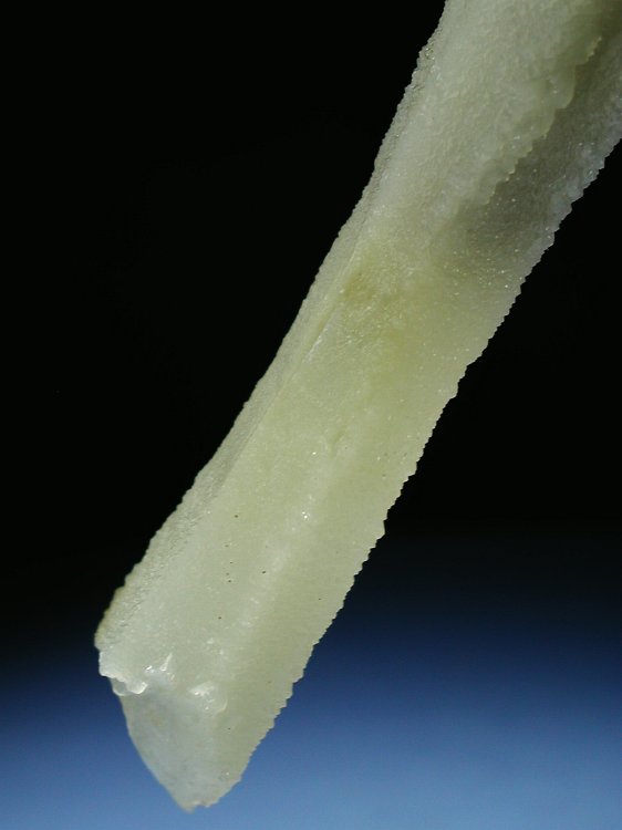 �w�f���o�[�K�C�g�C���N�H�[�c �ΐ����E�������S�� 17.3cm212g (17)