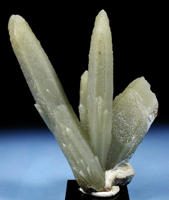 �w�f���o�[�K�C�g�C���N�H�[�c �ΐ����E�������S�� 12.6cm191g (28)