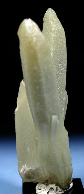 �w�f���o�[�K�C�g�C���N�H�[�c �ΐ����E�������S�� 12.6cm191g (28)