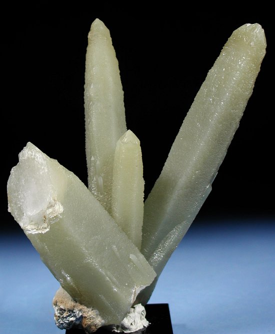 �w�f���o�[�K�C�g�C���N�H�[�c �ΐ����E�������S�� 12.6cm191g (28)