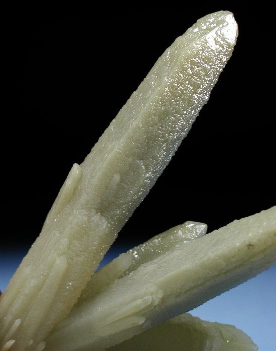 �w�f���o�[�K�C�g�C���N�H�[�c �ΐ����E�������S�� 12.6cm191g (28)