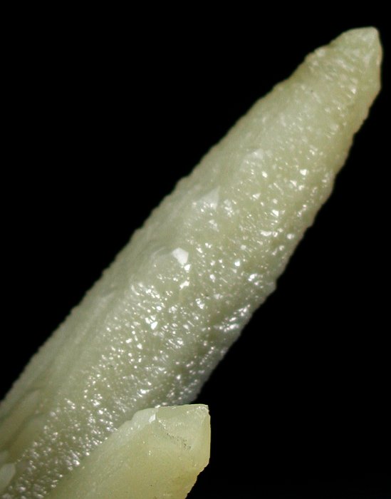 �w�f���o�[�K�C�g�C���N�H�[�c �ΐ����E�������S�� 12.6cm191g (28)