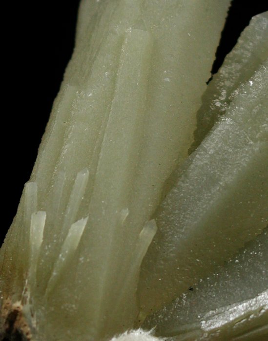 �w�f���o�[�K�C�g�C���N�H�[�c �ΐ����E�������S�� 12.6cm191g (28)