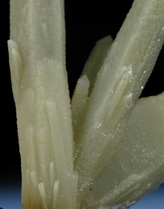 �w�f���o�[�K�C�g�C���N�H�[�c �ΐ����E�������S�� 12.6cm191g (28)