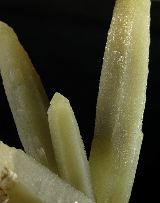 �w�f���o�[�K�C�g�C���N�H�[�c �ΐ����E�������S�� 12.6cm191g (28)