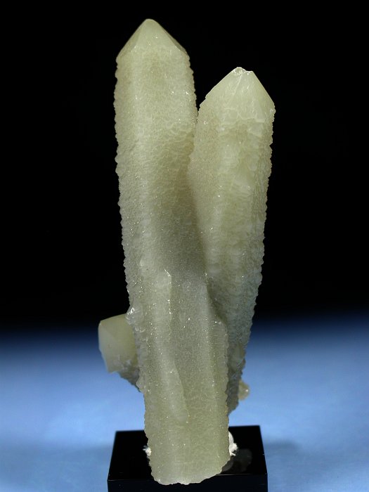 �w�f���o�[�K�C�g�C���N�H�[�c �ΐ����E�������S�� 11.3cm173g (31)