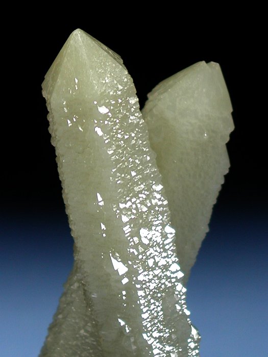 �w�f���o�[�K�C�g�C���N�H�[�c �ΐ����E�������S�� 11.3cm173g (31)