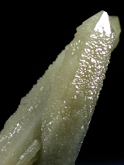 �w�f���o�[�K�C�g�C���N�H�[�c �ΐ����E�������S�� 11.3cm173g (31)