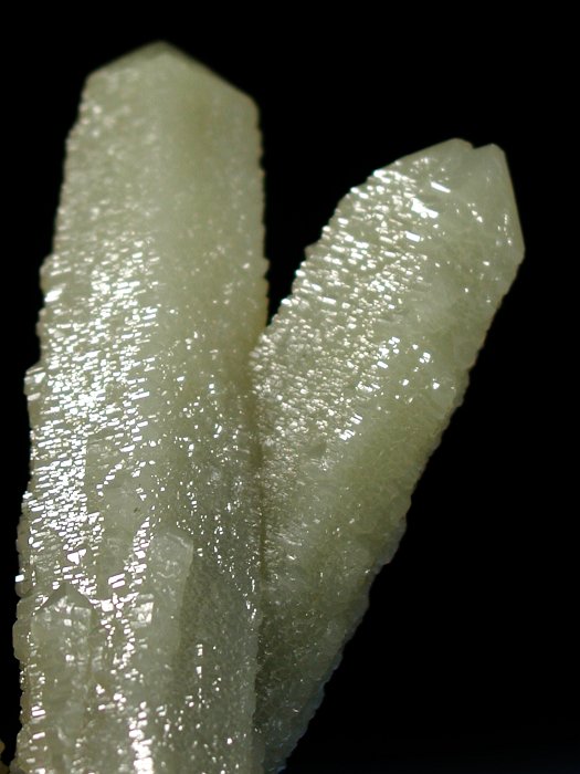 �w�f���o�[�K�C�g�C���N�H�[�c �ΐ����E�������S�� 11.3cm173g (31)