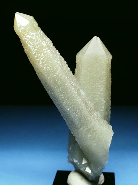 �w�f���o�[�K�C�g�C���N�H�[�c �ΐ����E�������S���Y 11.2cm130g (34)