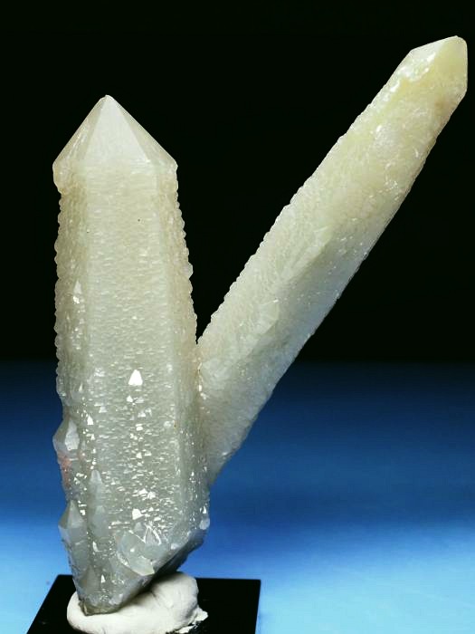 �w�f���o�[�K�C�g�C���N�H�[�c �ΐ����E�������S���Y 11.2cm130g (34)