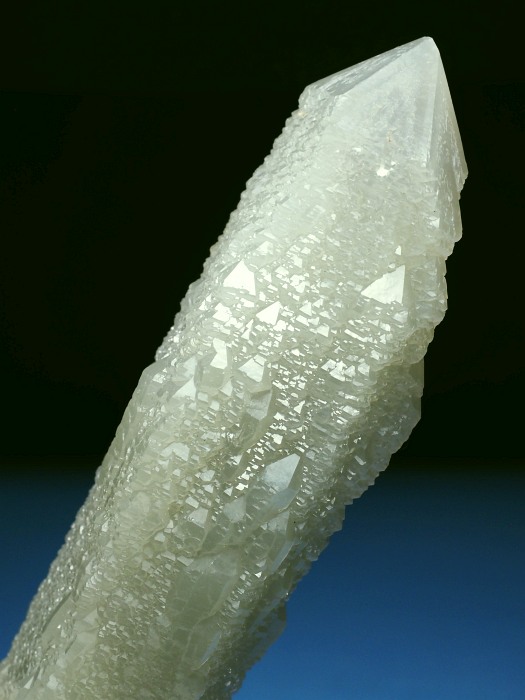 �w�f���o�[�K�C�g�C���N�H�[�c �A�C�A�����[�Y�t�E�������S���Y 12.2cm195g (36)