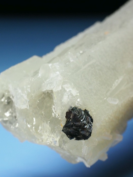 �w�f���o�[�K�C�g�C���N�H�[�c �A�C�A�����[�Y�t�E�������S���Y 12.2cm195g (36)