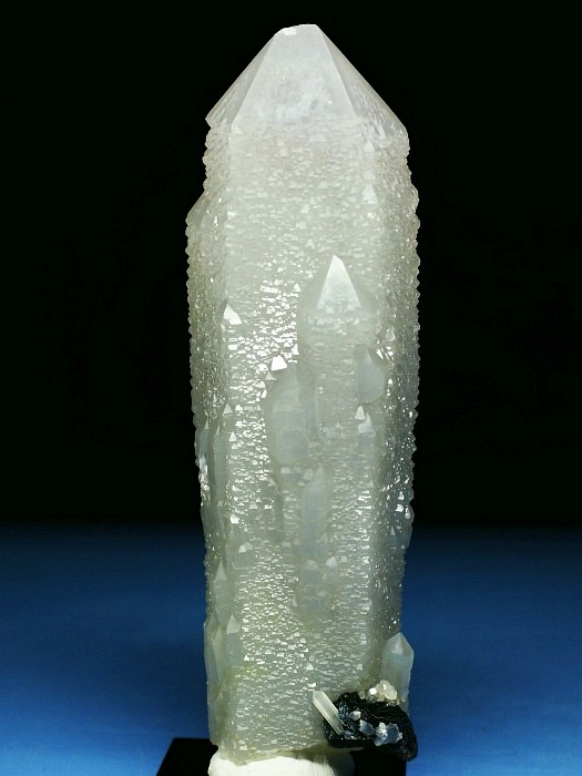 �w�f���o�[�K�C�g�C���N�H�[�c �A�C�A�����[�Y�t�E�������S���Y 11.7cm155g (37)