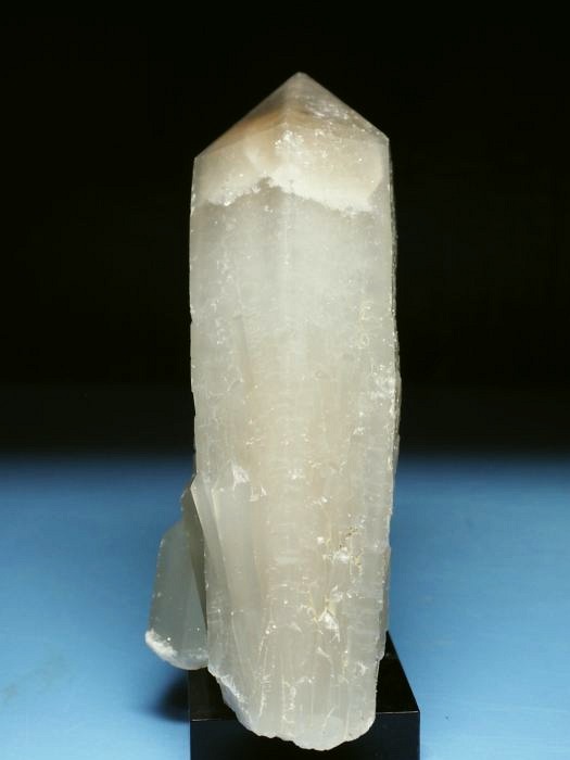 �w�f���o�[�K�C�g�C���N�H�[�c �ΐ����E�������S���Y 13cm357g (39)