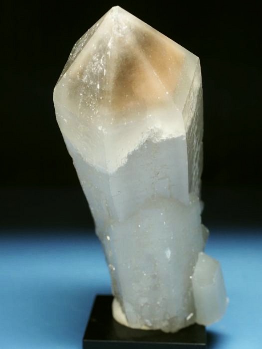 �w�f���o�[�K�C�g�C���N�H�[�c �ΐ����E�������S���Y 13cm357g (39)