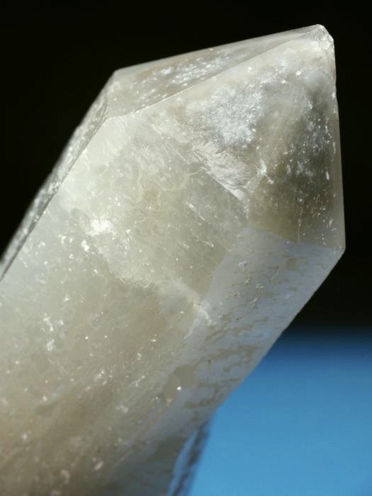 �w�f���o�[�K�C�g�C���N�H�[�c �ΐ����E�������S���Y 13cm357g (39)