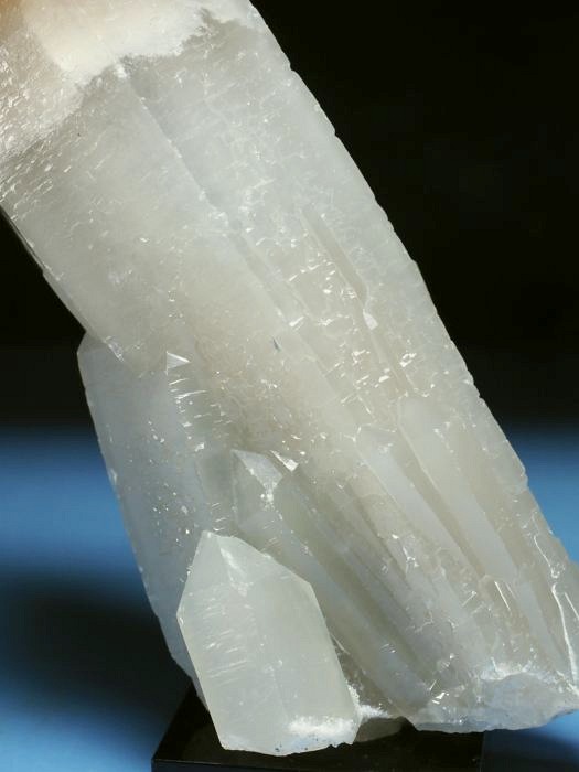 �w�f���o�[�K�C�g�C���N�H�[�c �ΐ����E�������S���Y 13cm357g (39)