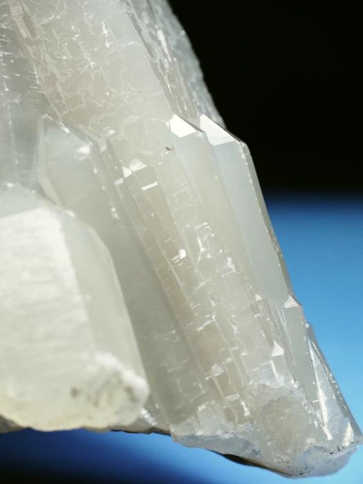 �w�f���o�[�K�C�g�C���N�H�[�c �ΐ����E�������S���Y 13cm357g (39)