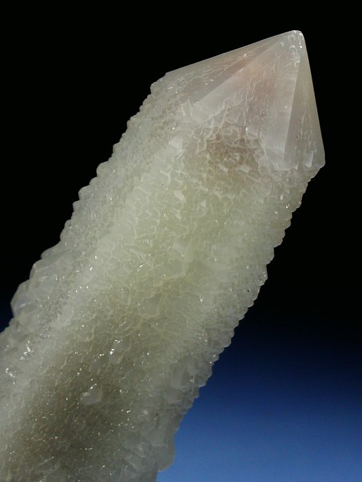 wfo[KCgCNH[c ΐES 12.2cm159g (*4)