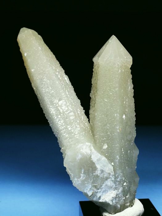 �w�f���o�[�K�C�g�C���N�H�[�c �ΐ����E�������S���Y 11.2cm130g (34)