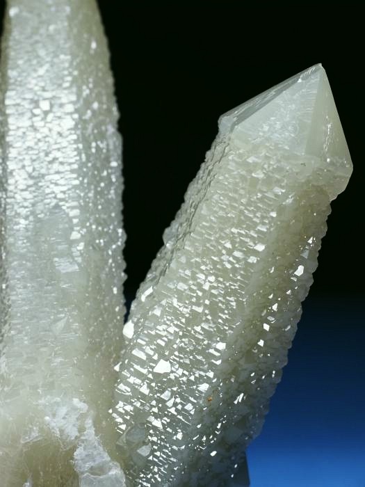 �w�f���o�[�K�C�g�C���N�H�[�c �ΐ����E�������S���Y 11.2cm130g (34)